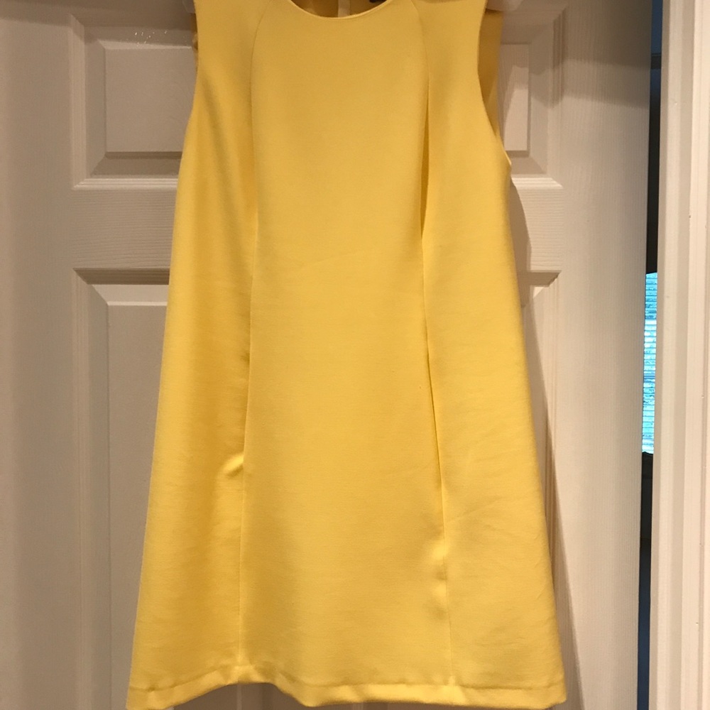Zara dress